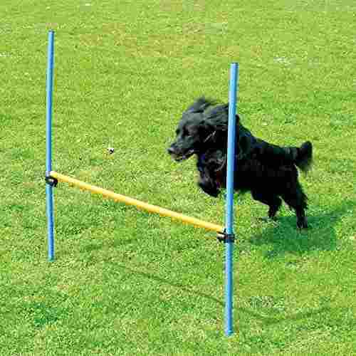 Pet Dogs Outdoor Games Agility Exercise Training Equipment A