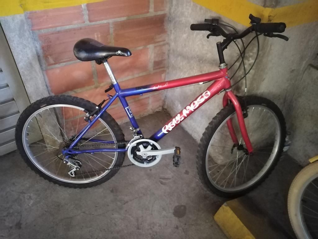 Bicicleta Raúl Mesa