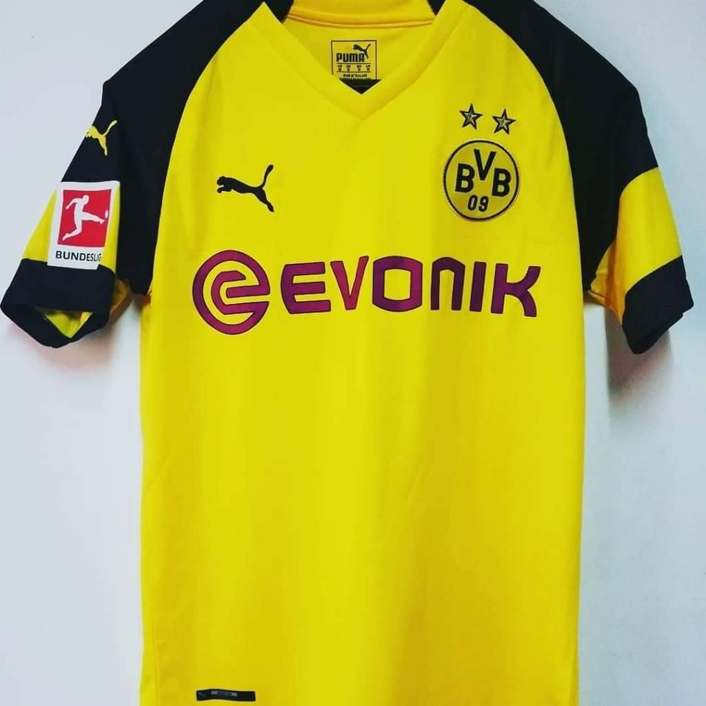 Borussia Dortmund Temporada 