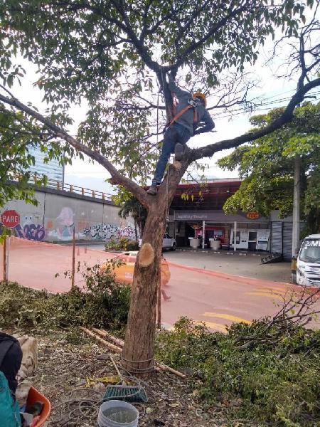 Oficios Varios,Medellin