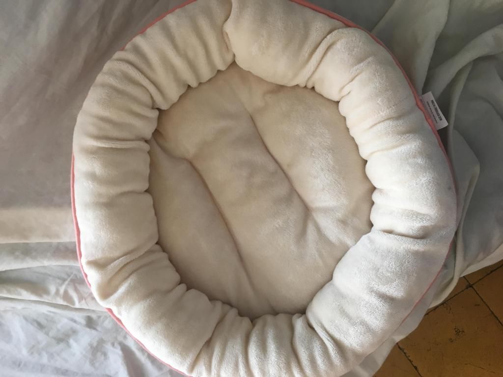 Dos camas para gatos o perros