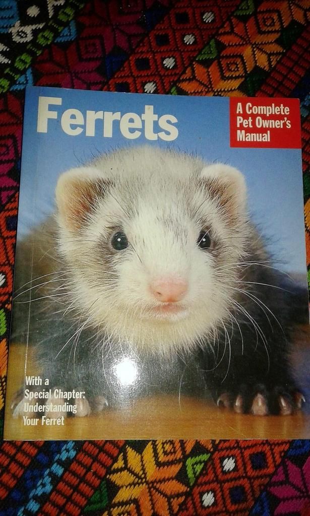 FERRETS A complete pet owners Manual