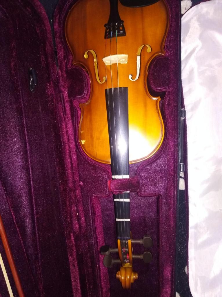 Violin 44