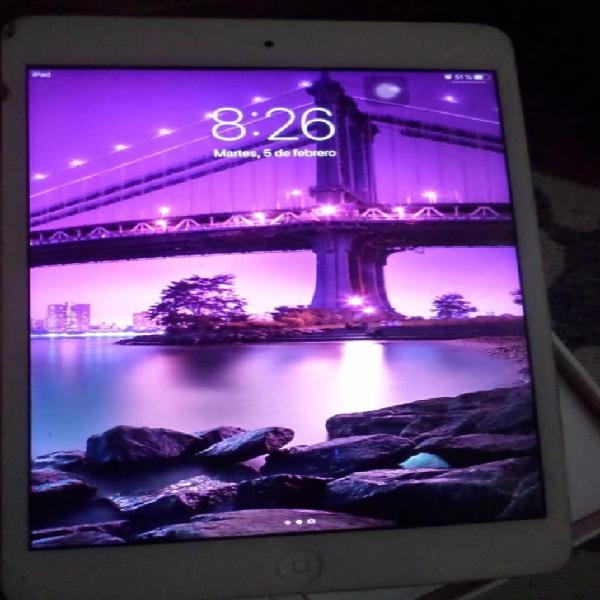 iPad Mini 2 con Defectos