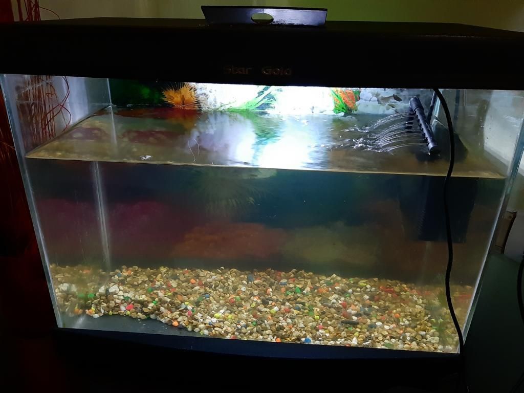 Acuario con Tapas Y Filtrador