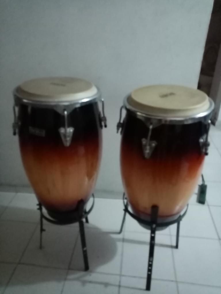 Congas