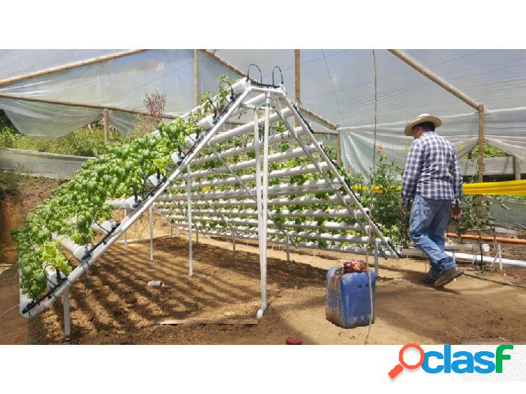 825617P Venta finca de producción El Peñol