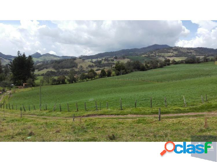 Lote en La calera Cundinamarca, en parcelación