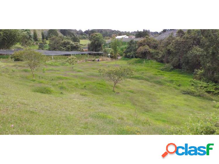 Lote en venta Rionegro Sajonia