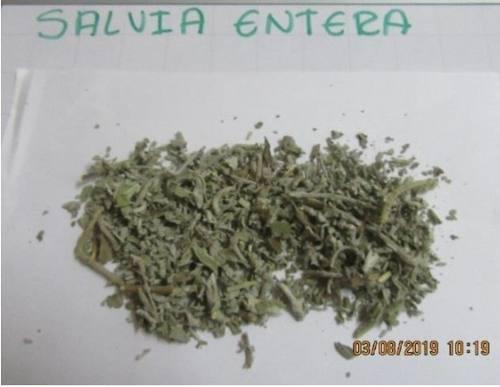 Salvia Blanca Californiana 100 Grs