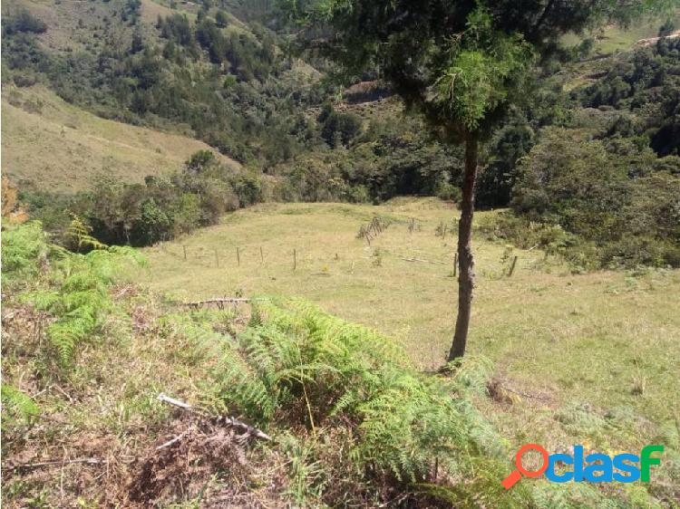 TERRENO ESPECTACULAR APTO PARA AGUACATE