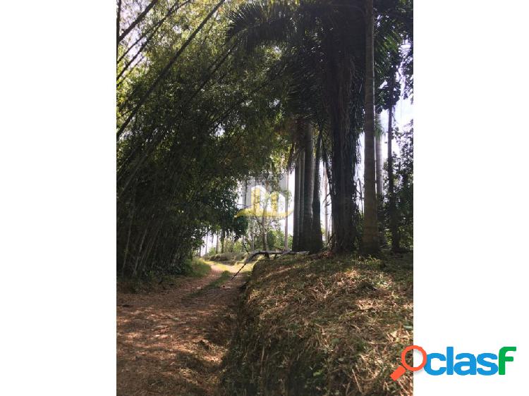 VENDO EXCELENTES LOTES EN CERRITOS PEREIRA