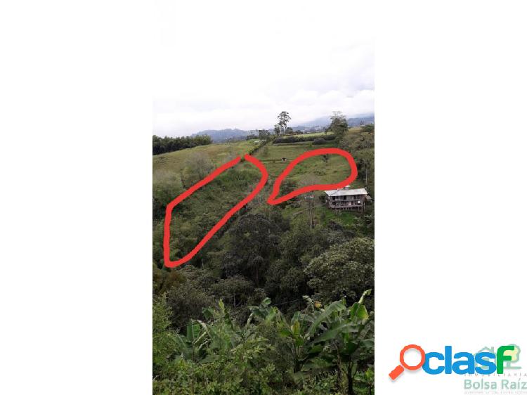 VENTA EXCELENTE LOTE VIA ARMENIA