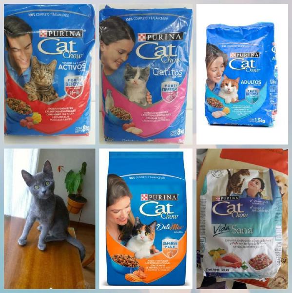 Alimento Cat Show