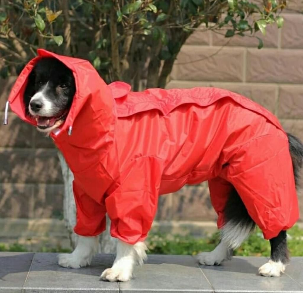 Capas Impermeables para Perro