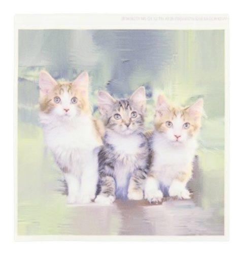 Gatos R Three Little Kittens R Hierro Sobre Calor Transferen