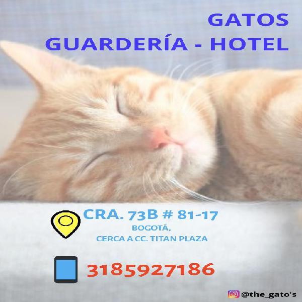 Hotel Guardería Gatos