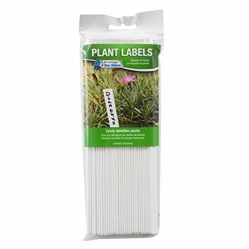 Jardineros Blue Ribbon T021b Plant Labels 8 Bright White