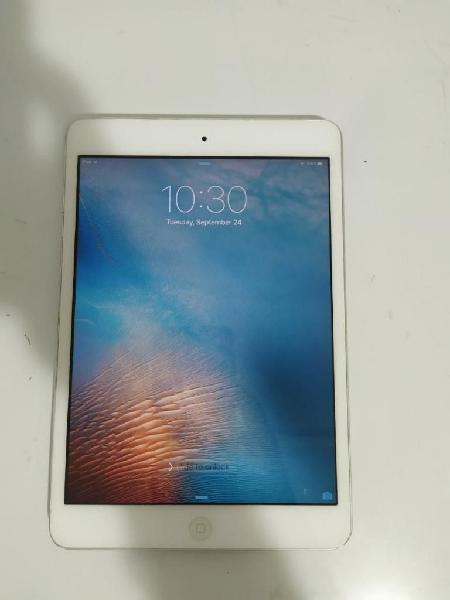 iPad Mini1 16 Gb