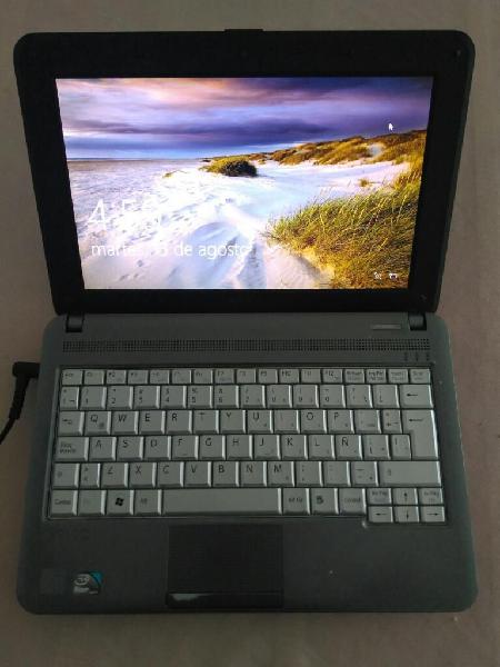 Mini Laptop Sony Vaio Modelo 21311u