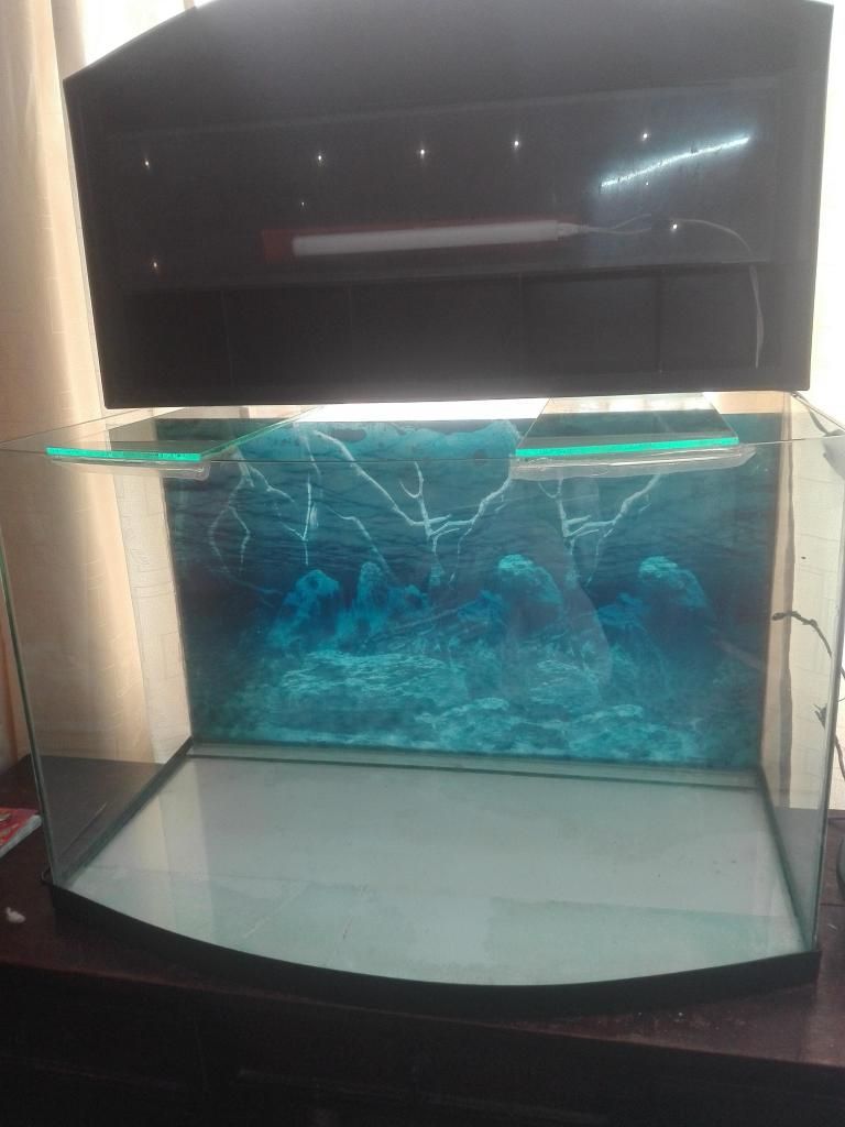 Vendo acuario curvo