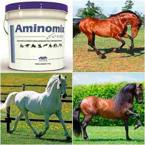 Aminomix Forte 5 Kg. Para Caballos Suplemento Vitaminas