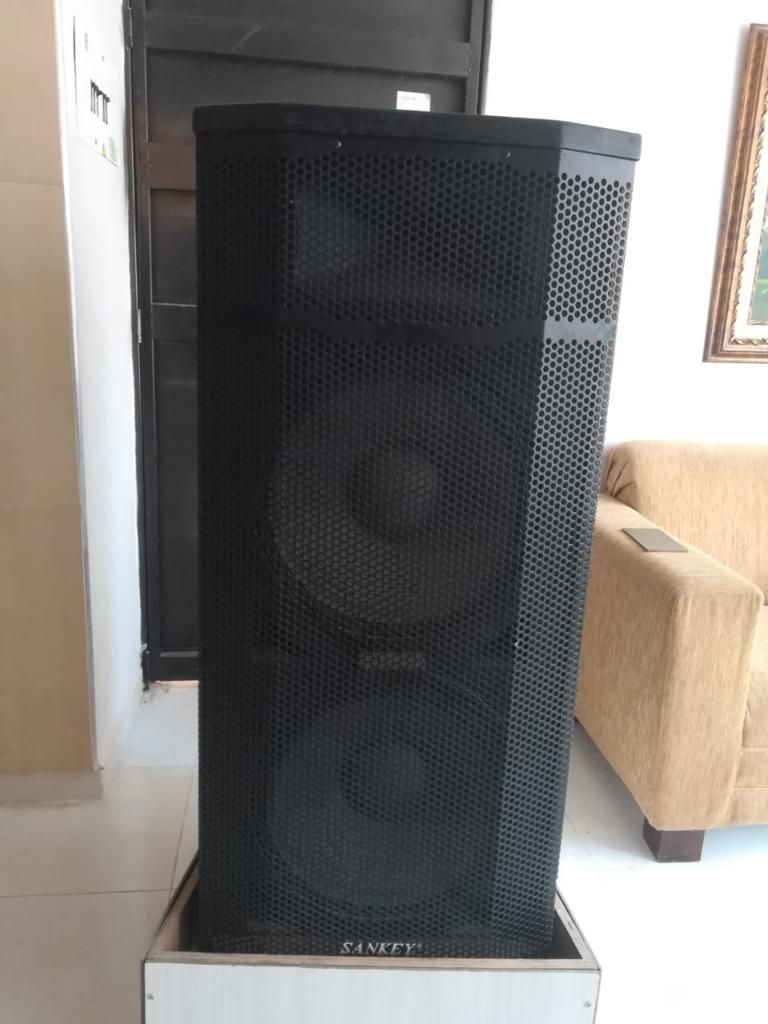 Parlante Super Woofer 2 X 15'' Sankey