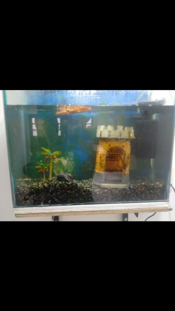 Acuario Y Accesorios Motor Moderno