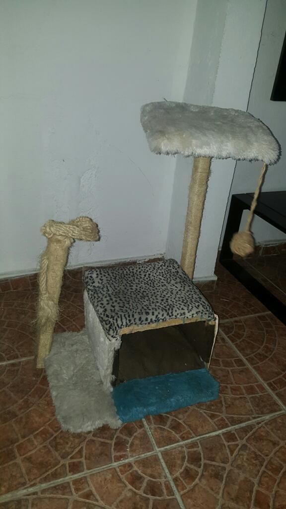 Casa de Juego para Gatos