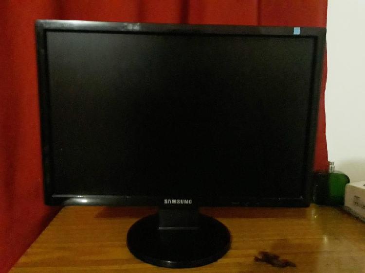 Monitor Samsung 19p Y Mouse