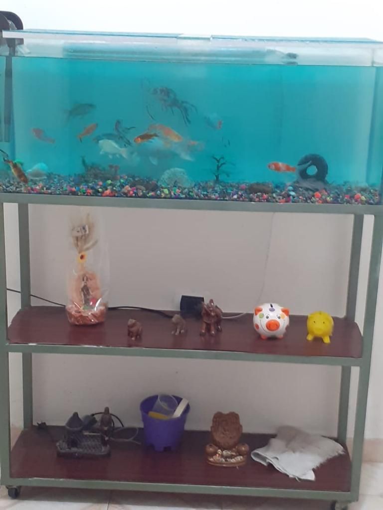 Vendo O Cambio Acuario