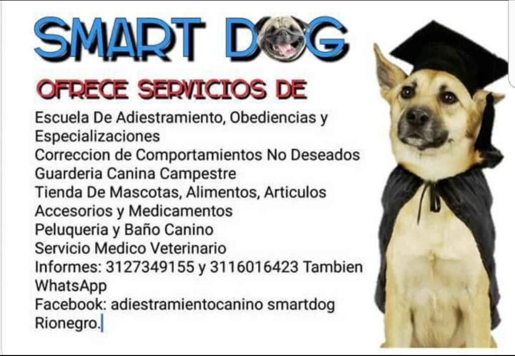 Guarderia Y Adiestramiento Canino.