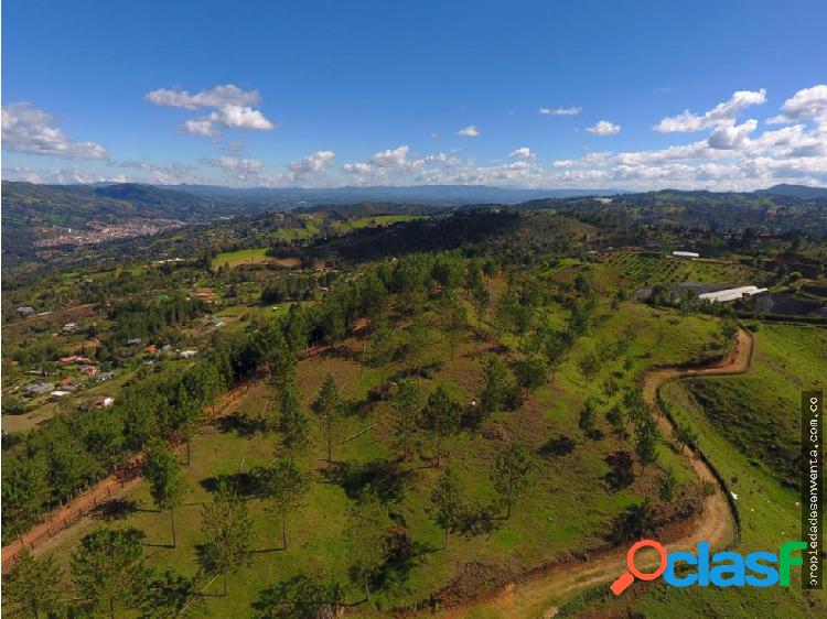 Lote en Venta en Guarne sector Batea Seca