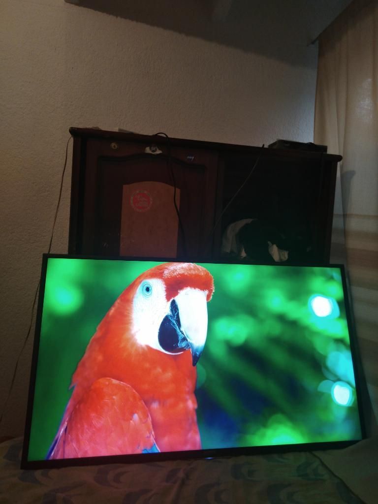 Tv 4k Uhd Smart 49 Sony Ganga