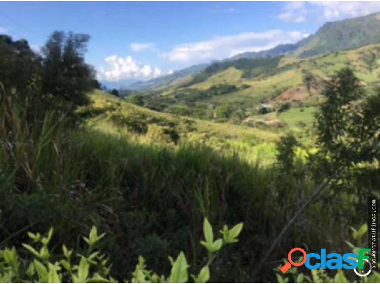 Venta de Lote en parcelacion en.Andes Antioquia