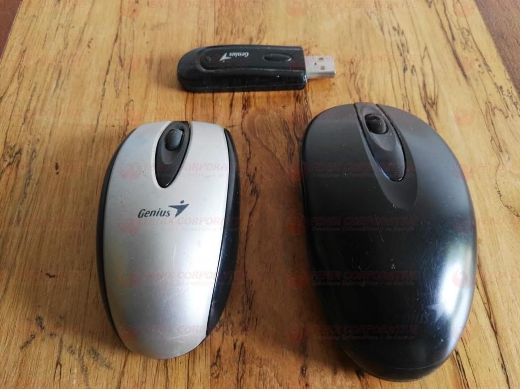 Dos Mouse Genius Inalambricos Wireless y un receptor