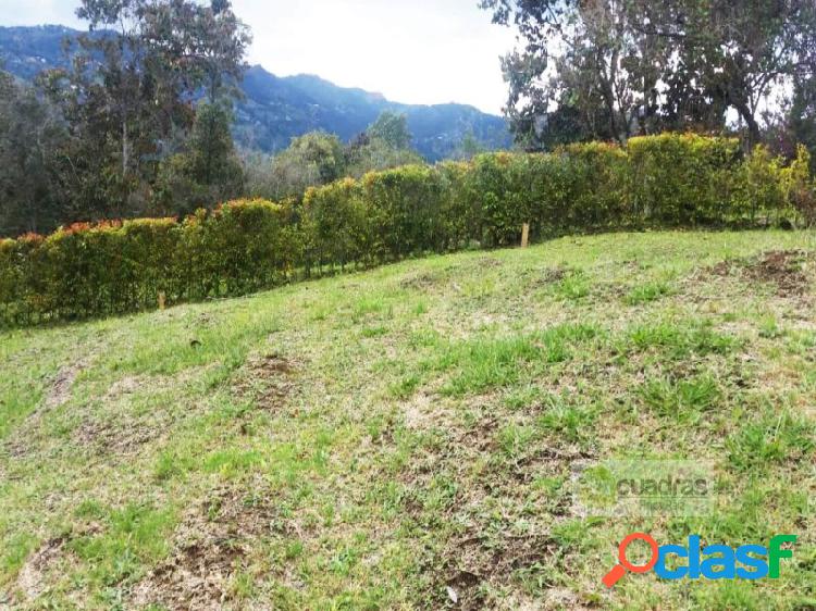 LOTE EN GUARNE