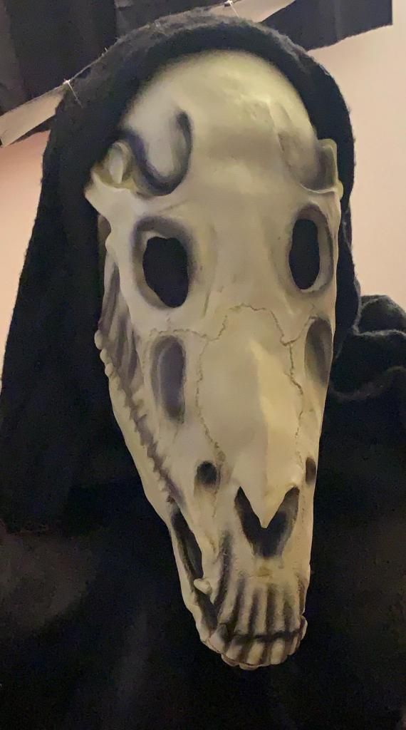 Mascara Horse Skull