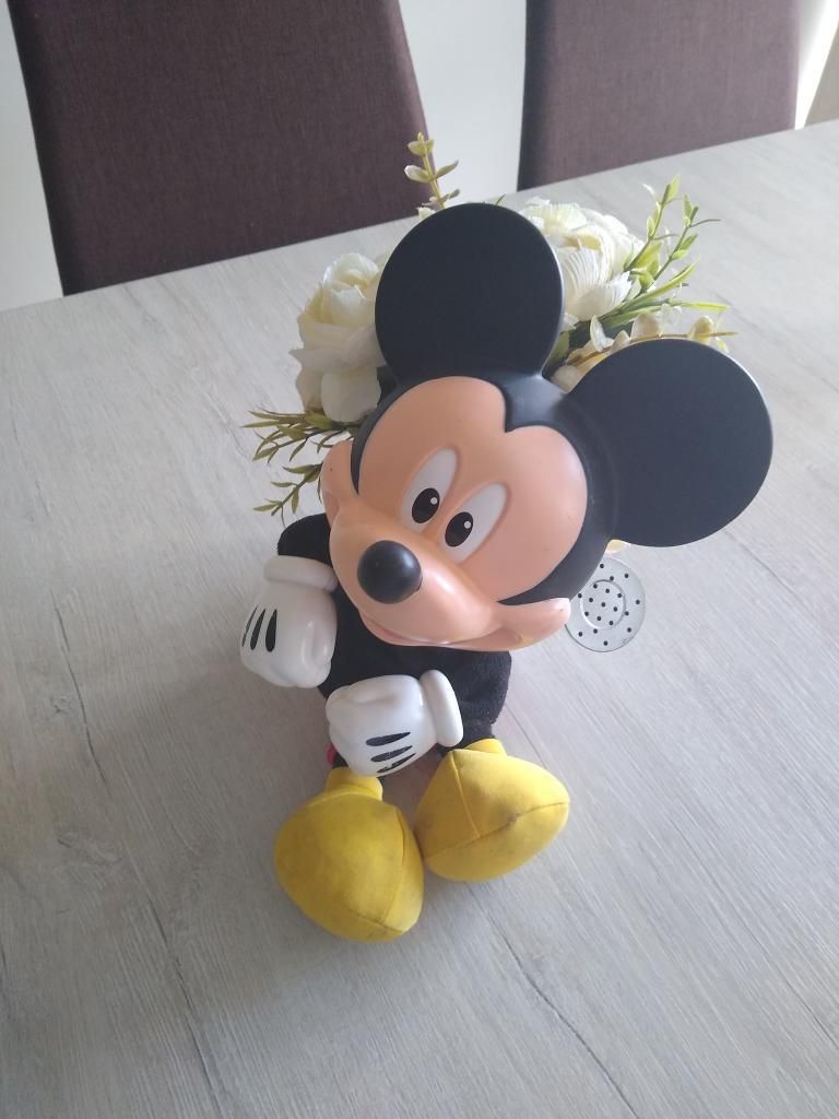 Mickey Mouse Canta Usado en Buen Estado