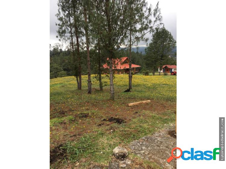 SE VENDE LOTES EN SANTA ELENA ANTIOQUIA