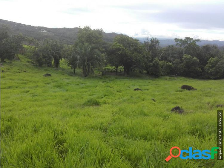 VENTA LOTE CARMEN DE APICALA