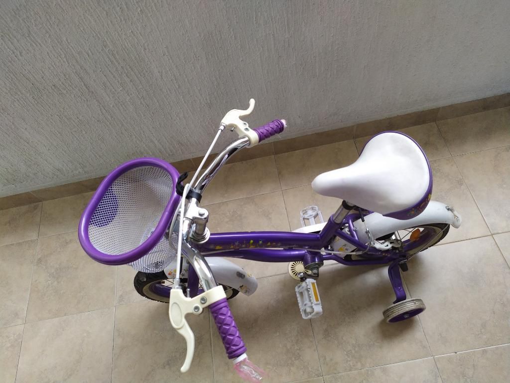 Bicicleta para Niña.