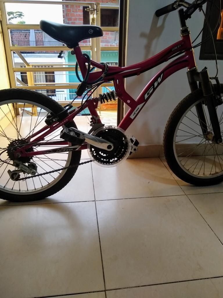 Bicicleta Gw Rin 20