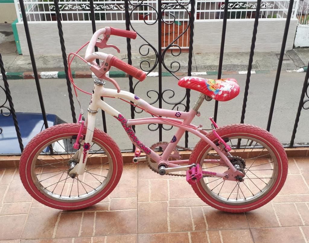 Bicicleta para Niña en Muy Buen Estado