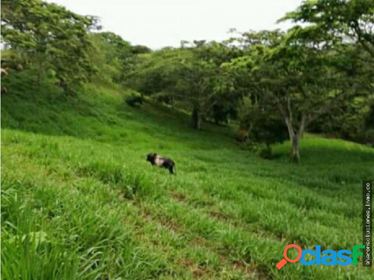 Hermosa Finca Ganadera