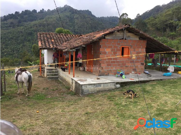 Venta Finca Prod Caramanta, Suroeste Antioqueño