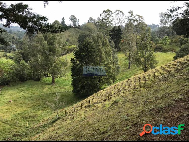 Lote en la salida del Tunel de Oriente Rionegro