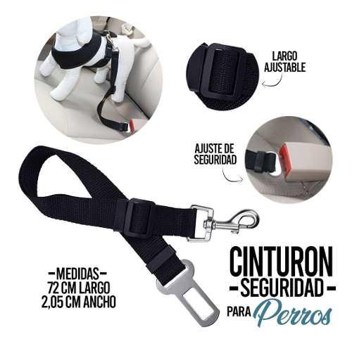 Correa Cinturón Seguridad Mascota Perro Carro Colores