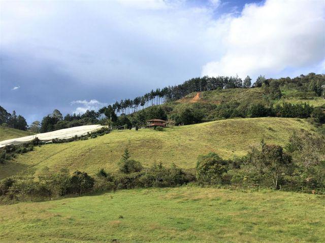 Lote en El Retiro vereda Chuscal