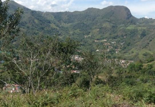 Lote en Venta La Vega Cundinamarca